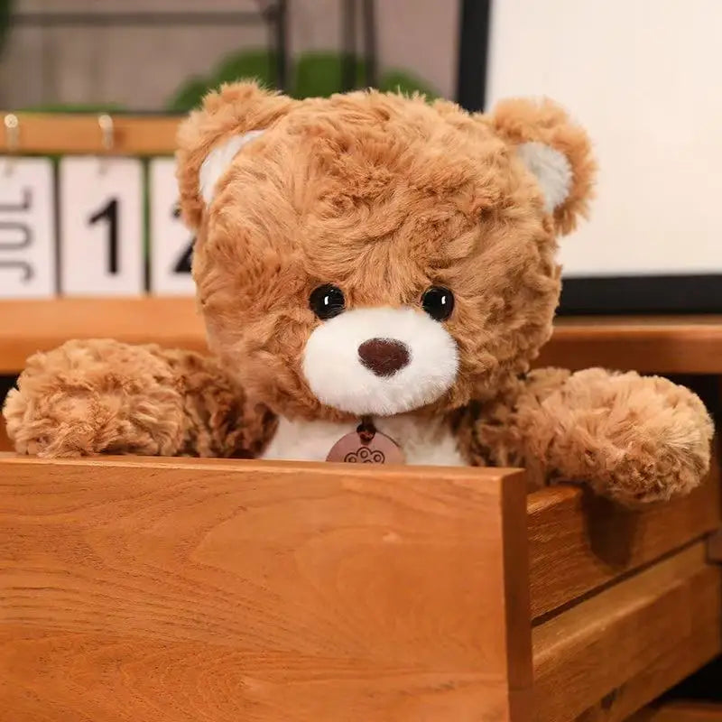 30/50/80 cm Teddy Bear Doll Simulation Plush Toy Handmade Doll Cartoon Anime Cute Pillow Cushion Home Decoration Children's Birt